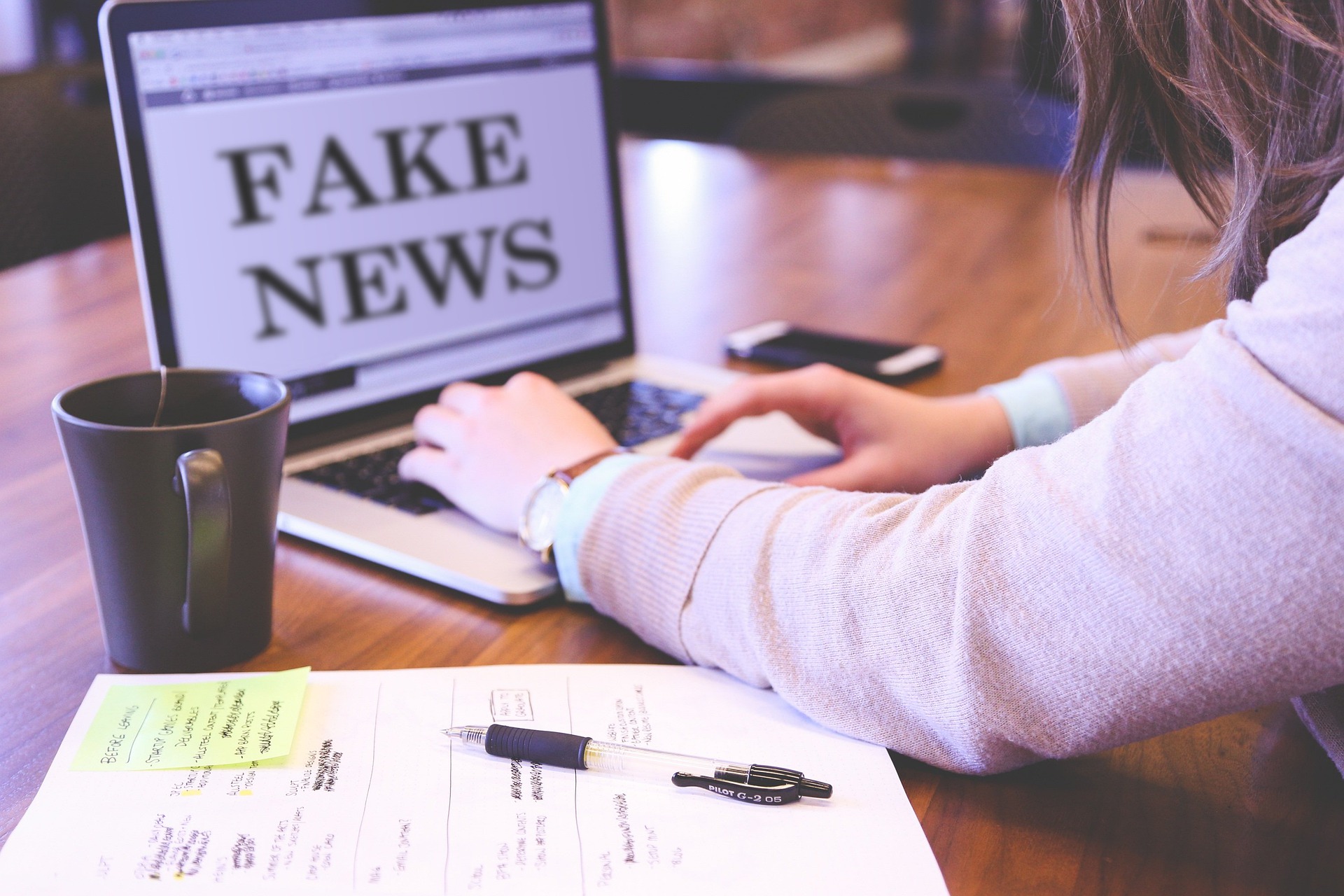 El poder y los efectos de las fake news