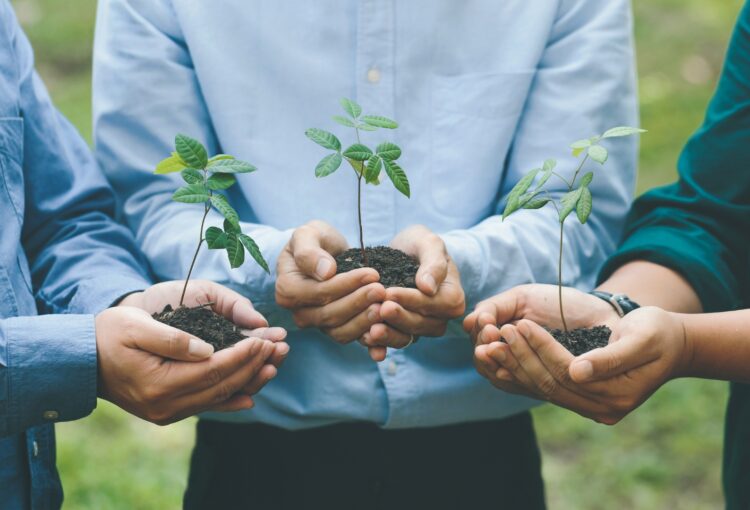 Sostenibilidad con Evidencia: Cómo Comunicar Gestión Ambiental sin caer en Discursos Vacíos