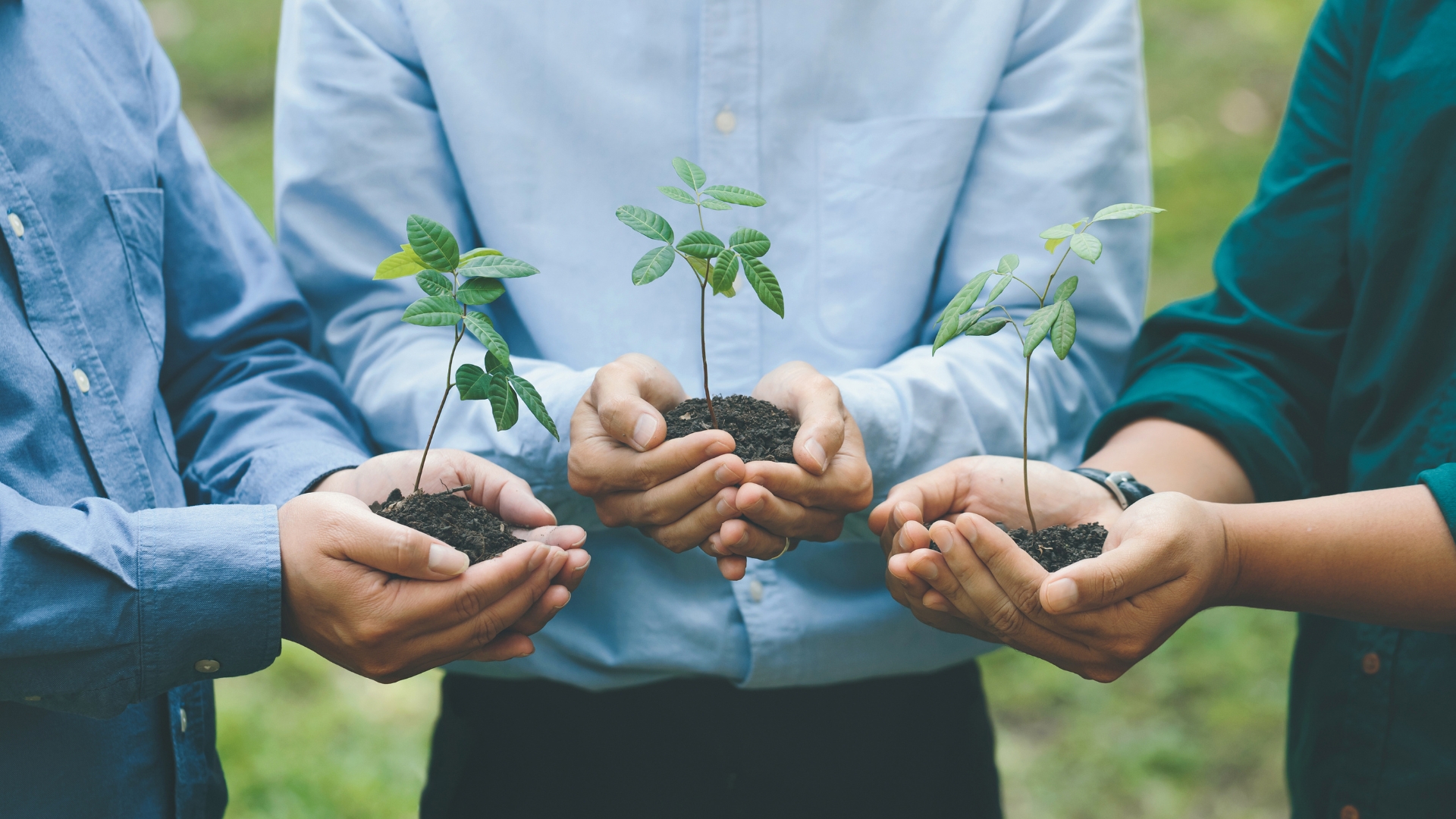 Sostenibilidad con Evidencia: Cómo Comunicar Gestión Ambiental sin caer en Discursos Vacíos